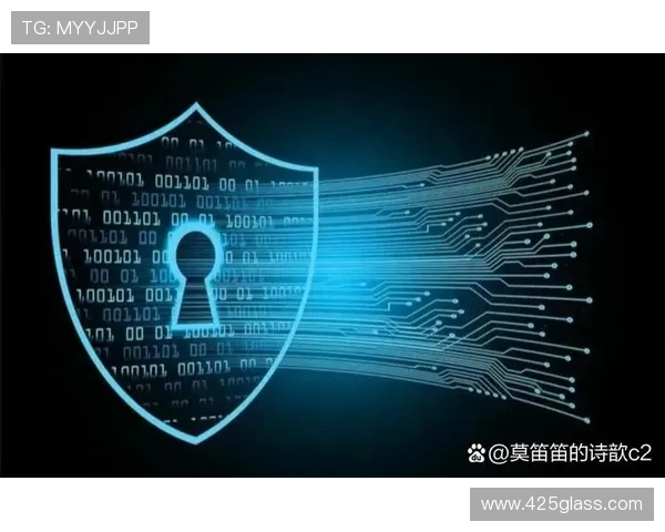 探索PA视讯中国区的技术创新与安全保障措施详解